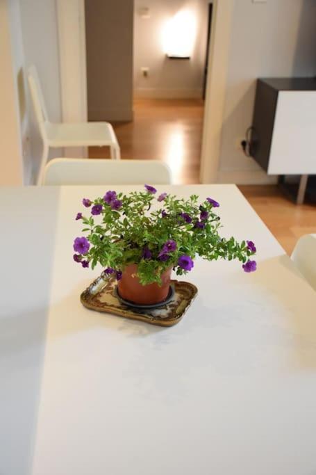 Le Cocon De Matabiau - 2 Pas Du Centre Avec Parking Apartment Toulouse Luaran gambar